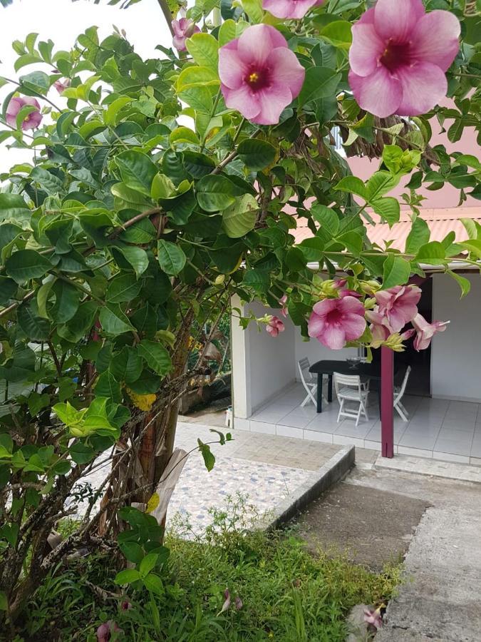 Guinée-Fleury F1 Studio Martinique מראה חיצוני תמונה