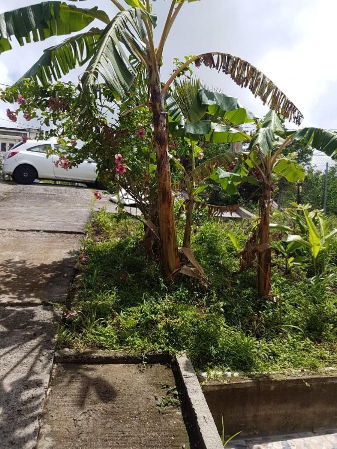 Guinée-Fleury F1 Studio Martinique מראה חיצוני תמונה